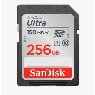 SanDisk CARTE MÉMOIRE SDXC 256 Go UHS-I/SDSDUNC-256G-GN6IN (256 Go, SDXC), Carte mémoire SanDisk CARTE MÉMOIRE SDXC 256 Go UHS-I/SDSDUNC-256G-GN6IN (256 Go, SDXC), Carte mémoire