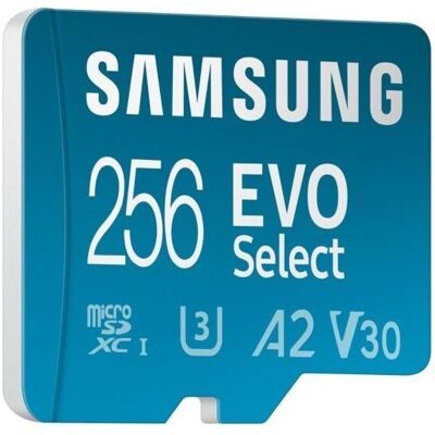 Samsung Carte MicroSD EVO Select (256 Go, microSDXC, U3, UHS-I), Carte mémoire Samsung Carte MicroSD EVO Select (256 Go, microSDXC, U3, UHS-I), Carte mémoire