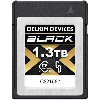 Delkin Carte mémoire CFexpress Type B 4.0 – 1,3 To – Noir (1300 Go, CFexpress type B), Carte mémoire, Noir Delkin Carte mémoire CFexpress Type B 4.0 – 1,3 To – Noir (1300 Go, CFexpress type B), Carte mémoire, Noir