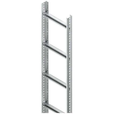 Niedax NIE STM60.403/3 Tracé d'échelons 60x400x3000 Écart entre les échelons 300mm 1,75 kN, Accessoires électroniques + boîtier Niedax NIE STM60.403/3 Tracé d'échelons 60x400x3000 Écart entre les échelons 300mm 1,75 kN, Accessoires électroniques + boîtier