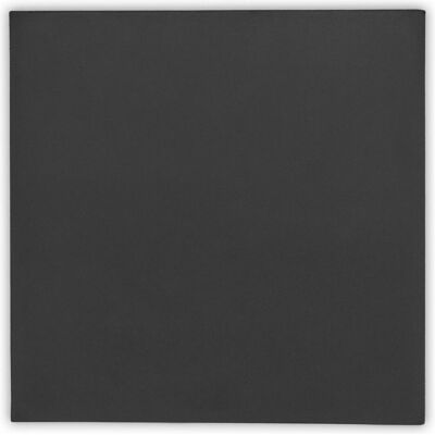 Thermal Grizzly TG Minus Pad Extreme V2 - 100x 100x 2,0 mm (2 mm), Tampon thermique, Gris Thermal Grizzly TG Minus Pad Extreme V2 - 100x 100x 2,0 mm (2 mm), Tampon thermique, Gris