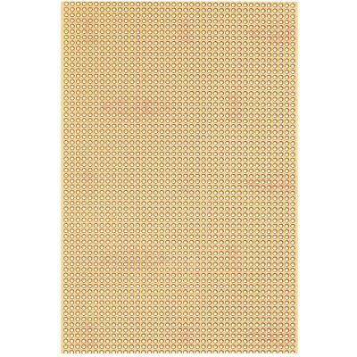 Rademacher WR Platine papier dur (L x l) 160 mm x 100 mm 35 µm pas 2.54 mm WR-Type 815-5 1 pc., Accessoires électroniques + boîtier Rademacher WR Platine papier dur (L x l) 160 mm x 100 mm 35 µm pas 2.54 mm WR-Type 815-5 1 pc., Accessoires électroniques + boîtier