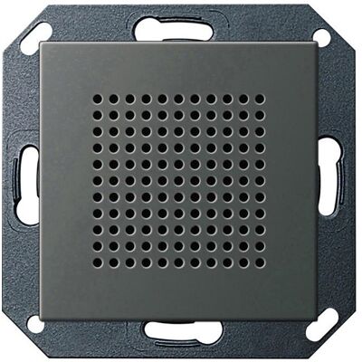 Gira UP-Radio 2282600 Haut-parleur RDS Acier Inoxydable - Composant HiFi Gira UP-Radio 2282600 Haut-parleur RDS Acier Inoxydable - Composant HiFi