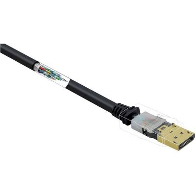 Câble DisplayPort Renkforce - 0,5m Noir 4K 60Hz Contacts dorés Câble DisplayPort Renkforce - 0,5m Noir 4K 60Hz Contacts dorés