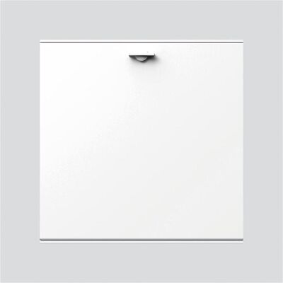 Siedle S. & Soehne Module de fente AFM 611-4/4-0 W, DJ : accessoires, Blanc Siedle S. & Soehne Module de fente AFM 611-4/4-0 W, DJ : accessoires, Blanc