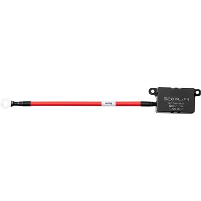 EcoFlow, Power Station : accessoires, Alternator Charger Fuse Cable EcoFlow, Power Station : accessoires, Alternator Charger Fuse Cable