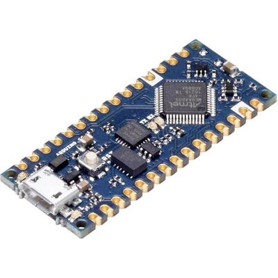 Arduino Arduino Nano Every - Module Électronique Compact Arduino Arduino Nano Every - Module Électronique Compact