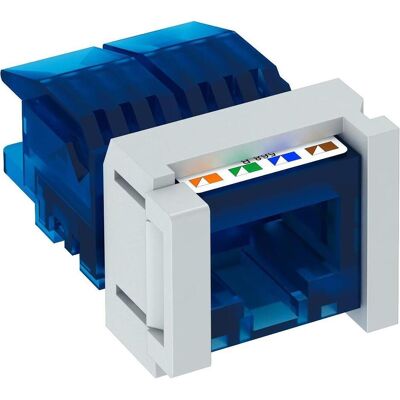 OBO Bettermann Module de raccordement CAT 6 Snap-In non blindé 6117349 (Module Keystone), Réseau : accessoires OBO Bettermann Module de raccordement CAT 6 Snap-In non blindé 6117349 (Module Keystone), Réseau : accessoires