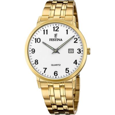 Festina, Montre, Classique, Or, (Horloge analogique, 40.50 mm) Festina, Montre, Classique, Or, (Horloge analogique, 40.50 mm)