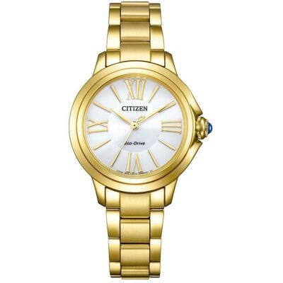 Citizen Montre, Eco-Drive EM1162-52A, Argent, (Horloge analogique, 43 mm) Citizen Montre, Eco-Drive EM1162-52A, Argent, (Horloge analogique, 43 mm)