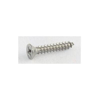 AllParts AP GS 3397-005 HB-Ring Screws/8 SS 13 mm (Pièces de rechange pour instruments), Instrument : accessoires AllParts AP GS 3397-005 HB-Ring Screws/8 SS 13 mm (Pièces de rechange pour instruments), Instrument : accessoires