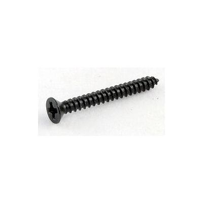 AllParts AP GS 0008-003 HB-Ring Screws/8 bk 19 mm (Pièces de rechange pour instruments), Instrument : accessoires, Noir AllParts AP GS 0008-003 HB-Ring Screws/8 bk 19 mm (Pièces de rechange pour instruments), Instrument : accessoires, Noir