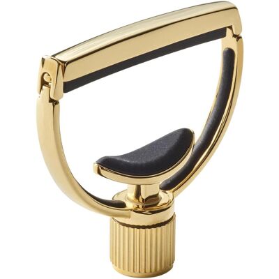 G7th Heritage Capo 12-string 1 st. steel, Guitare : accessoires, Or G7th Heritage Capo 12-string 1 st. steel, Guitare : accessoires, Or
