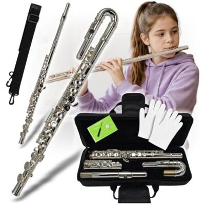 No Name V-TONE SCF 16 : lame transversale à tête incurvée (Flûte traversière, Courbe), Instrument à vent, Argent No Name V-TONE SCF 16 : lame transversale à tête incurvée (Flûte traversière, Courbe), Instrument à vent, Argent