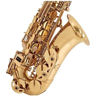 No Name V-TONE AS 100 saxophone alto avec étui de transport (Saxophone), Instrument à vent No Name V-TONE AS 100 saxophone alto avec étui de transport (Saxophone), Instrument à vent