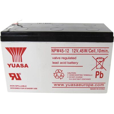 Yuasa NPW45-12 Batterie voiture - Faible auto-décharge Yuasa NPW45-12 Batterie voiture - Faible auto-décharge