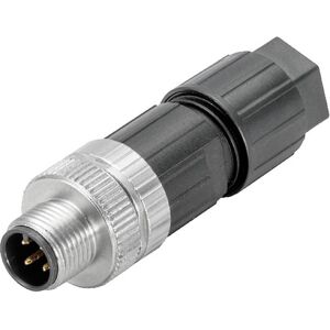 Weidmüller 2681480000 Connecteur Capteurs/Actionneurs M12 - Connecteur M12 mâle Weidmüller 2681480000 Connecteur Capteurs/Actionneurs M12 - Connecteur M12 mâle