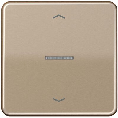 JUNG FMCD1700PGB, Bouton + interrupteur, Gris JUNG FMCD1700PGB, Bouton + interrupteur, Gris