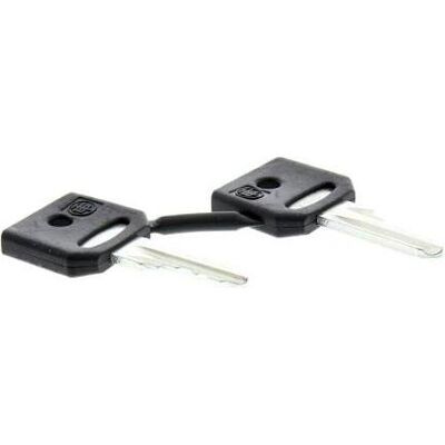 Schneider Electric ZBG421E - Clé pour interrupteur - Industriel Schneider Electric ZBG421E - Clé pour interrupteur - Industriel