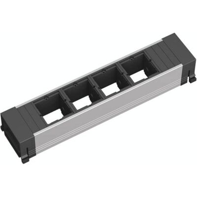 Bachmann Modèle 13 - Cadre pour Multiprise - Noir Bachmann Modèle 13 - Cadre pour Multiprise - Noir