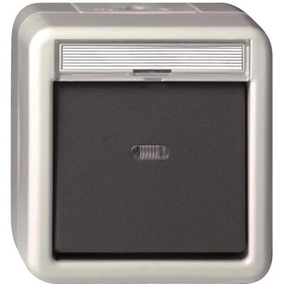 Gira Bouton-poussoir alternatif, Bouton + interrupteur, Gris Gira Bouton-poussoir alternatif, Bouton + interrupteur, Gris