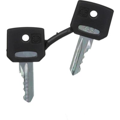 Accessoire clé Schneider Electric ZBG455 - Sécurité & Durabilité Accessoire clé Schneider Electric ZBG455 - Sécurité & Durabilité