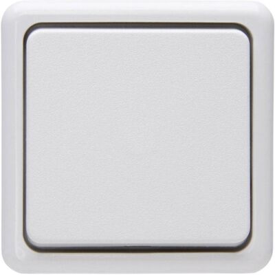 Interrupteur de Surface Blanc Arctique - Type d'Interrupteur Interrupteur de Surface Blanc Arctique - Type d'Interrupteur