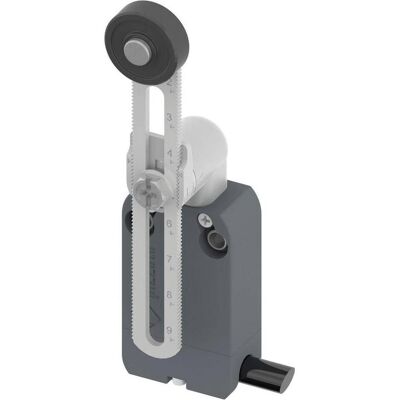 Pizzato Elettrica NF B112KP-DN2 Commutateur de fin de course - Levier pivotant IP67 Pizzato Elettrica NF B112KP-DN2 Commutateur de fin de course - Levier pivotant IP67