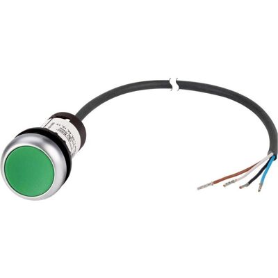 Eaton C22-D-G-K10-P62 Bouton-poussoir plat vert - Commutateur + bouton-poussoir Eaton C22-D-G-K10-P62 Bouton-poussoir plat vert - Commutateur + bouton-poussoir
