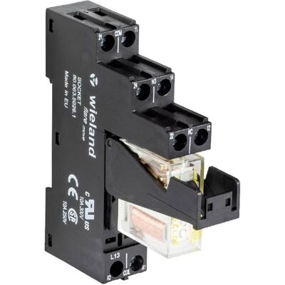 Wieland Module d'extension électrique SNE 1 DC 24V, Relai Wieland Module d'extension électrique SNE 1 DC 24V, Relai