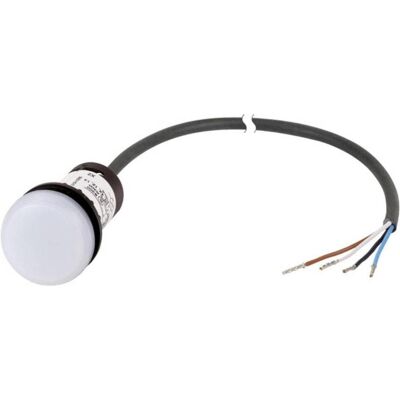 Voyant lumineux plat blanc Eaton C22-L-W-24-P62 - 24 V DC/AC Voyant lumineux plat blanc Eaton C22-L-W-24-P62 - 24 V DC/AC