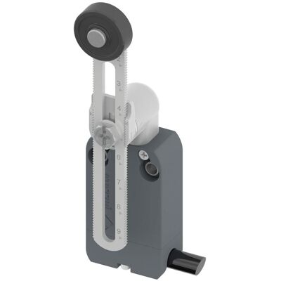 Pizzato Elettrica NF B112KP-DN2 Commutateur de fin de course - Levier pivotant IP67 Pizzato Elettrica NF B112KP-DN2 Commutateur de fin de course - Levier pivotant IP67