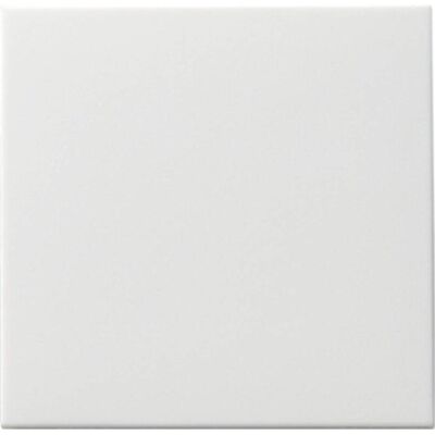Gira Bascule interrupteur à touche Système 55 blanc pur m 091627, Bouton + interrupteur, Blanc Gira Bascule interrupteur à touche Système 55 blanc pur m 091627, Bouton + interrupteur, Blanc