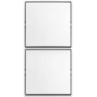 Busch-Jaeger, Interrupteurs éclairage + volets électriques, Kombi Schalter/Schalter AP Busch-Jaeger, Interrupteurs éclairage + volets électriques, Kombi Schalter/Schalter AP