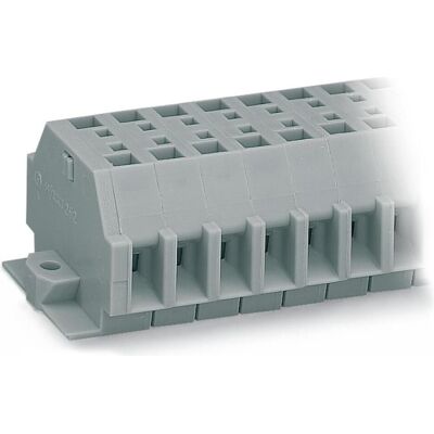 Barrette de bornes WAGO 262-160 10 voies 2 conducteurs - Gris Barrette de bornes WAGO 262-160 10 voies 2 conducteurs - Gris