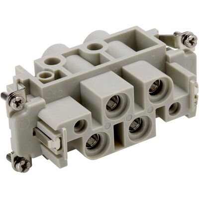 LAPP 44424042 Connecteur électrique - Puissance, 4 pôles + PE LAPP 44424042 Connecteur électrique - Puissance, 4 pôles + PE