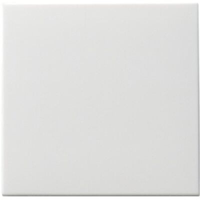 Gira Bascule interrupteur à touche Système 55 blanc pur m 091627, Bouton + interrupteur, Blanc Gira Bascule interrupteur à touche Système 55 blanc pur m 091627, Bouton + interrupteur, Blanc