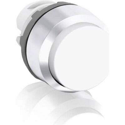 ABB Présentation du bouton-poussoir, Bouton + interrupteur, Argent, Blanc ABB Présentation du bouton-poussoir, Bouton + interrupteur, Argent, Blanc