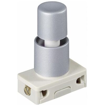 interBär 3030-611.81 Commutateur à pression gris - Commutateur interBär 3030-611.81 Commutateur à pression gris - Commutateur