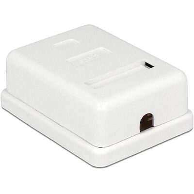 Delock Boîtier RJ-45 Cat.6 : 1 port (Accessoires pour câbles), Réseau : accessoires Delock Boîtier RJ-45 Cat.6 : 1 port (Accessoires pour câbles), Réseau : accessoires