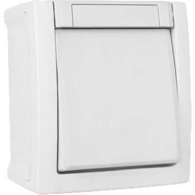 Interrupteur double Panasonic 90591104-DE Montage en surface FR Interrupteur double Panasonic 90591104-DE Montage en surface FR