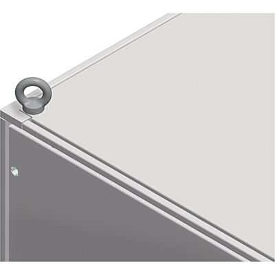 Anneaux de levage Schneider Electric NSYSFEB - Accessoire électrique Anneaux de levage Schneider Electric NSYSFEB - Accessoire électrique