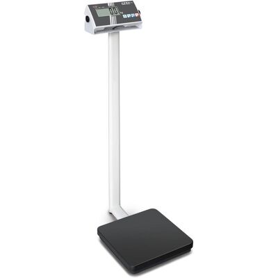 Balance numérique Kern & Sohn 300kg Gris Balance numérique Kern & Sohn 300kg Gris
