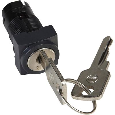 Schneider Electric Porte-Clés Ronis Carré Zb6cgh, Bouton + interrupteur, Noir Schneider Electric Porte-Clés Ronis Carré Zb6cgh, Bouton + interrupteur, Noir