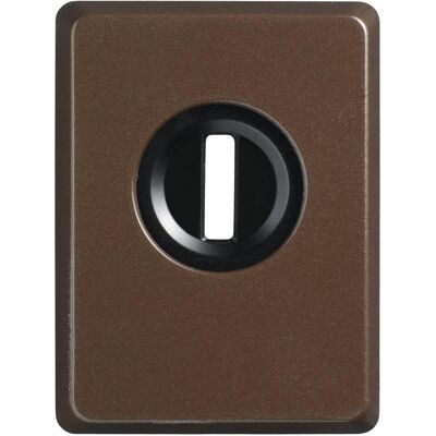 Abus, Protection contre le cambriolage + système d'alarme, Plaque de blindage PZS70 avec protection contre l'arrachage, marron Abus, Protection contre le cambriolage + système d'alarme, Plaque de blindage PZS70 avec protection contre l'arrachage, marron