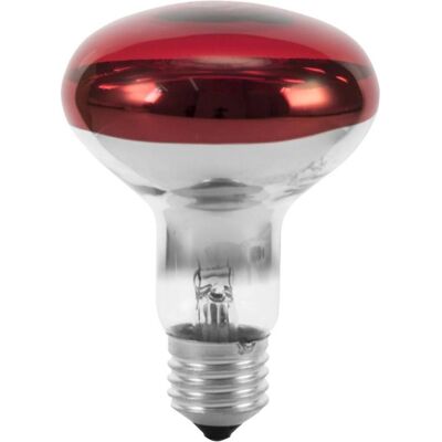 EuroLite R80 230V/60W E-27 Ampoule Réflecteur Rouge - Ampoule EuroLite R80 230V/60W E-27 Ampoule Réflecteur Rouge - Ampoule