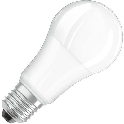 Osram, Ampoule, lumière LED (E27, 1521 lm, 1x) Osram, Ampoule, lumière LED (E27, 1521 lm, 1x)