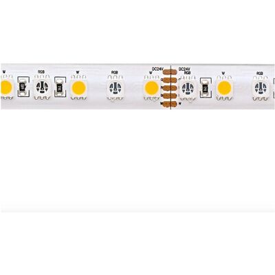 Sigor, Bande LED, Bande LED couleur 19,2W/m RGB/2700K 5m (Blanc chaud, RGB, 500 cm, Intérieur) Sigor, Bande LED, Bande LED couleur 19,2W/m RGB/2700K 5m (Blanc chaud, RGB, 500 cm, Intérieur)