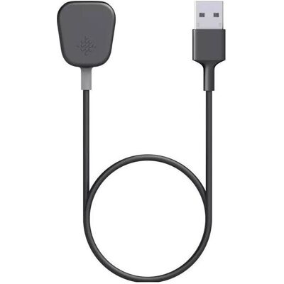 Fitbit Câble de charge USB pour Charge 4, Montre connectée : accessoires, Noir Fitbit Câble de charge USB pour Charge 4, Montre connectée : accessoires, Noir