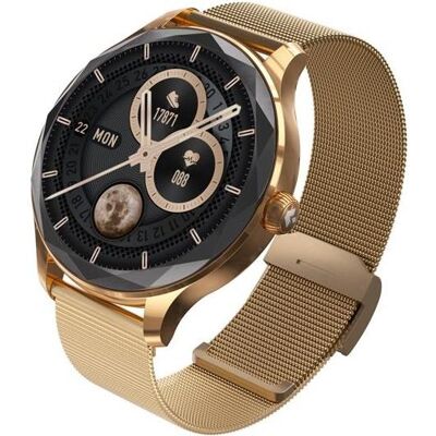 GARETT Viva Gold Set Montre connectée - Or, 1.3" AMOLED, IP67 GARETT Viva Gold Set Montre connectée - Or, 1.3" AMOLED, IP67